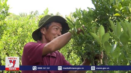 Cựu chiến binh Bến Tre và mô hình 5+1