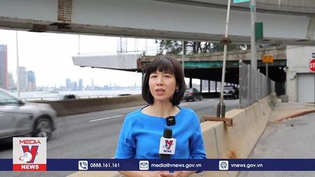 Cá mập tấn công người ở bờ biển New York