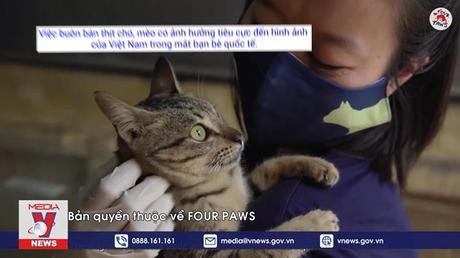 Chung tay bảo vệ chó, mèo