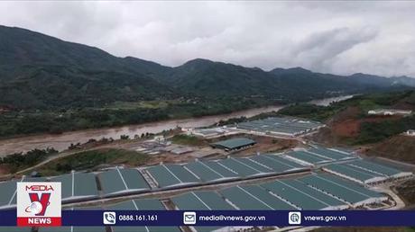 Yên Bái xử phạt trại nuôi lợn gây ô nhiễm môi trường