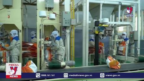 Giá gạo Việt Nam cao nhất thế giới