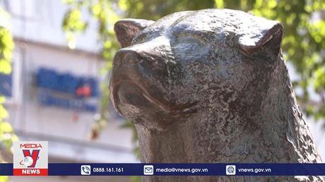 Ấn tượng chú chó Akita 3D ở Nhật Bản