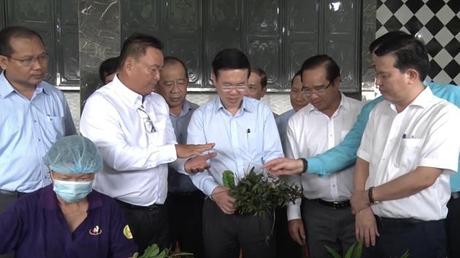 Thường trực Ban Bí thư làm việc với Tỉnh ủy Long An