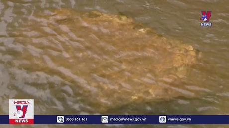 Đưa quy định bảo vệ nguồn nước vào hương ước làng xã