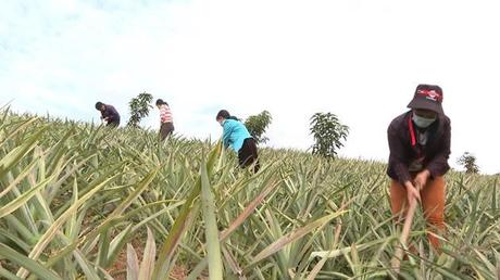 Những đổi thay ở vùng đồng bào dân tộc Mảng