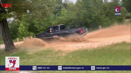 Giới trẻ bất chấp để nổi tiếng trên TikTok