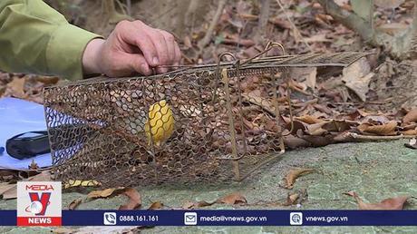 Bảo tồn đa dạng sinh học và phát triển bền vững miền Trung - Tây Nguyên