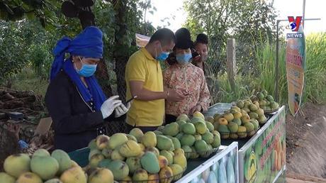 Nhật trình kinh tế ngày 30/7/2022