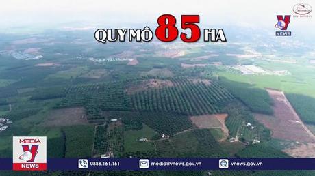 Xét xử vụ án lừa đảo, rửa tiền của Công ty Alibaba từ 12/8