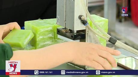 Ninh Bình bảo tồn và phát triển nguồn dược liệu bản địa