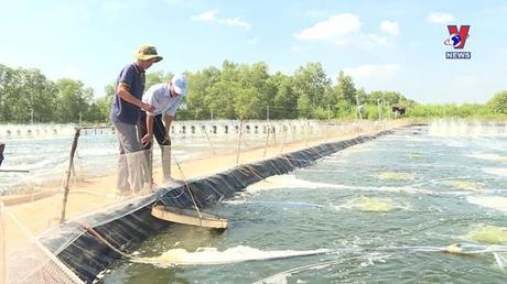 Bản tin Tiếng Pháp ngày 01/8/2022
