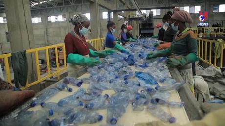 Cuộc sống xanh ngày 31/7/2022