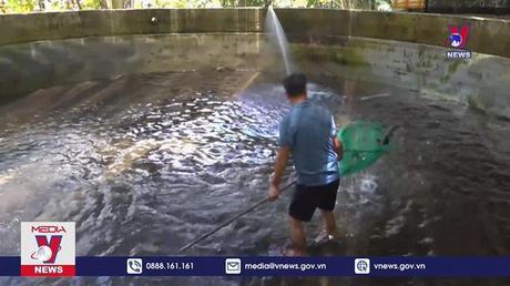 'Vua' cá tầm xứ Thanh 