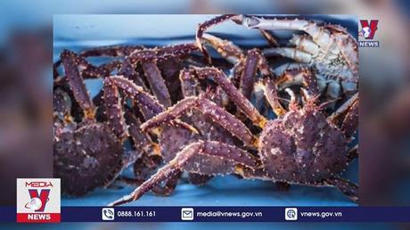 Miễn kiểm dịch nhiều sản phẩm động vật thủy sản nhập khẩu


