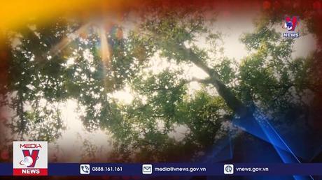 Bản tin Thời sự 22h ngày 02/8/2022