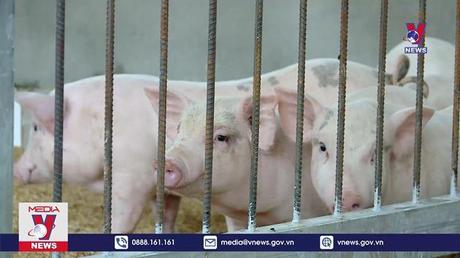 Bản tin Thời sự 20H ngày 03/8/2022