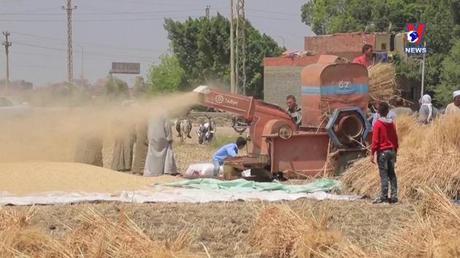 Thế giới hôm nay ngày 03/8/2022 Tìm lối thoát cho cuộc khủng hoảng lương thực toàn cầu