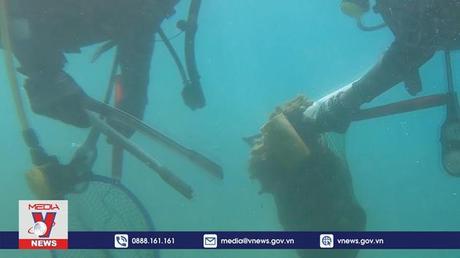 Giám sát rác thải nhựa trên hệ sinh thái biển