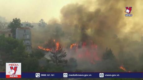 Cháy rừng – Nỗi lo kinh tế mới của châu Âu