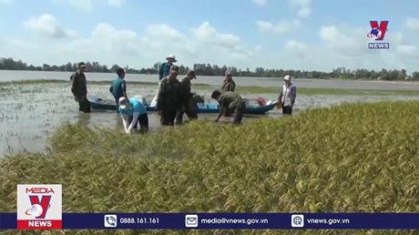 Lũ đầu vụ Đồng bằng Sông Cửu Long