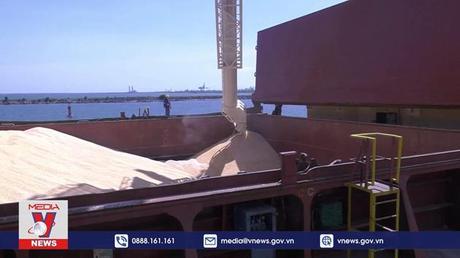 Giá lương thực thế giới tiếp tục giảm