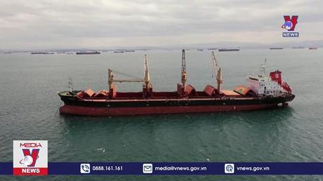 Tàu biển cỡ lớn của Thổ Nhĩ Kỳ tới cảng Ukraine 