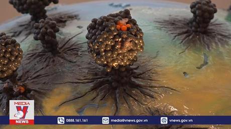 Lời cảnh tỉnh về vũ khí hạt nhân từ Nagasaki