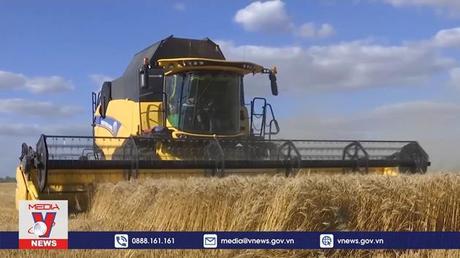 Nga để ngỏ khả năng cắt giảm xuất khẩu ngũ cốc