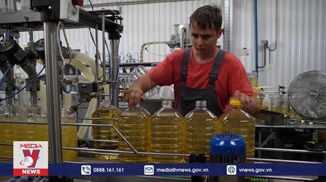 Doanh nghiệp Việt đẩy mạnh hợp tác với tỉnh Krasnodar