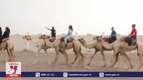 Trường dạy cưỡi lạc đà đầu tiên ở UAE