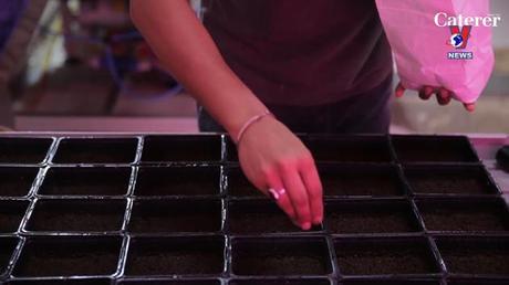 Cuộc sống xanh ngày 7/8/2022