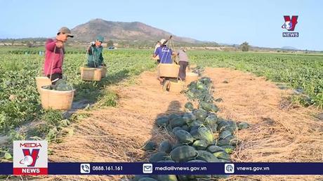 Trái cây xuất khẩu qua biên giới phía bắc thuận lợi 