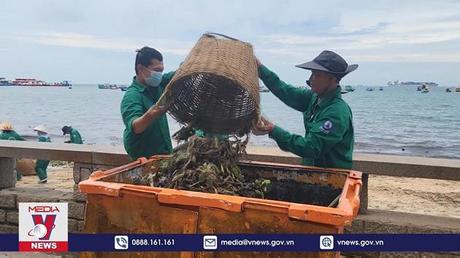 Hàng trăm tấn rác tấn công bãi biển Vũng Tàu