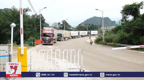 Lạng Sơn kiểm dịch chặt chẽ tại các khu vực cửa khẩu