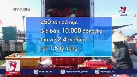 Ngư dân Quảng Bình trúng đậm 250 tấn cá nục