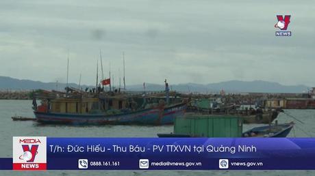 Huyện đảo Cô Tô chủ động ứng phó bão số 2 - MULAN