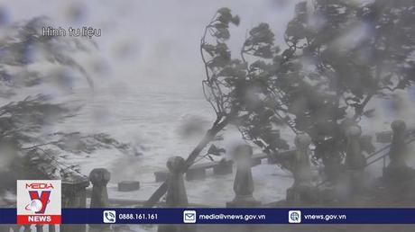 Bão số 2 gây nguy hiểm trên biển và đất liền