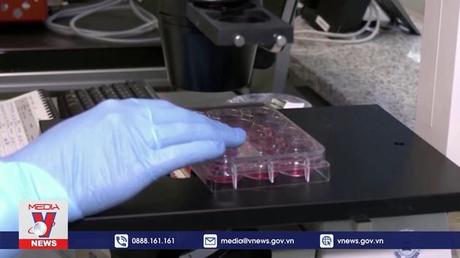 Các nước nỗ lực phòng bệnh đậu mùa khỉ