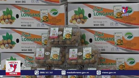 Hòa Bình xuất khẩu lô hàng nhãn Sơn Thủy đầu tiên sang EU