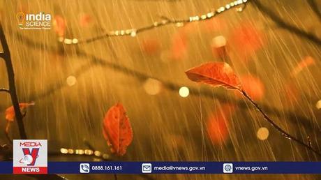 Nước mưa trên khắp hành tinh không an toàn để uống