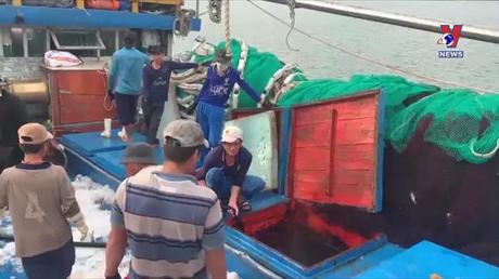 Nhật trình kinh tế ngày 11/8/2022