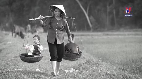 Văn hóa toàn cảnh ngày 11/8/2022