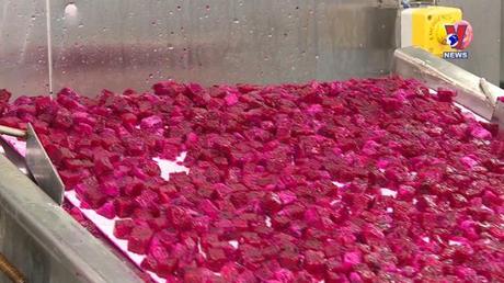 Việt Nam với bạn bè quốc tế ngày 24/7/2022