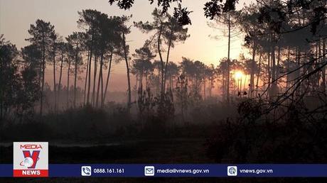 Cháy rừng nghiêm trọng tại Tây Nam nước Pháp
