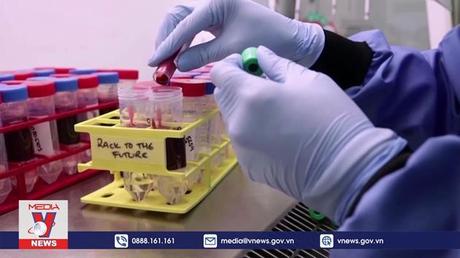 Phát hiện chủng virus lai giữa Omicron và Delta