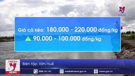 Bản tin thời sự 11h ngày 13/8/2022