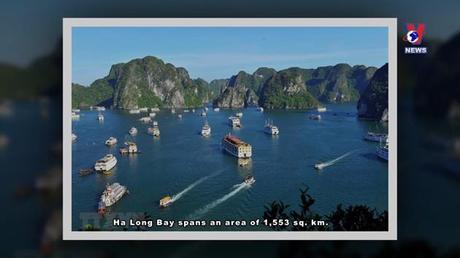 Bản tin tiếng Anh ngày 13/8/2022