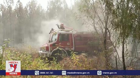 Pháp nỗ lực kiểm soát cháy rừng