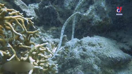 Khoảnh khắc & Sự kiện ngày 13/8/2022