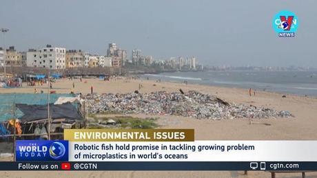 Cuộc sống xanh ngày 14/8/2022